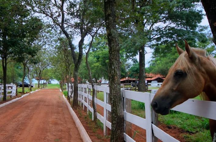 Fazenda Dos Ipes Hotel