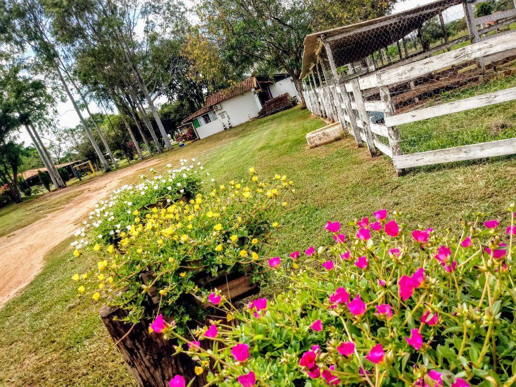 Fazenda Dos Ipes 4*